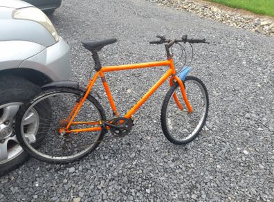 Adult Mountain Bike