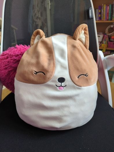 Dog Squishmallow