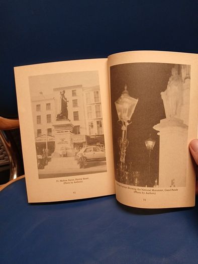 Cooke and Scanlon's Guide to Cork