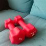 2x 4kg Dumbbell