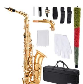 Alto Saxophone E-Flat Beginner Brass Saxophone Kit with Case (23 Keys)