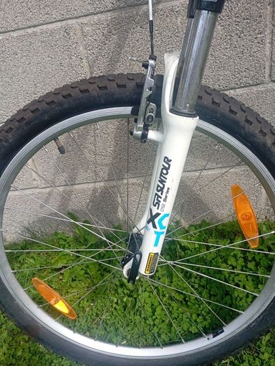 Ladies Felt bicycle MTB