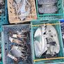 Clearance ! Honda Civic Ek 97-01 Parts 1.4 1.6 @ OCG Image 3