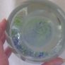 Glass Jellyfish Paperweight Image 10