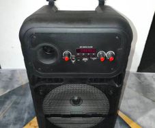 Portable Bluetooth Karaoke Speaker