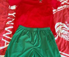 St Pats Carlow kit