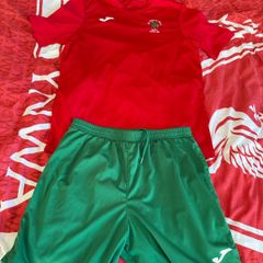 St Pats Carlow kit