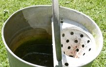 Vintage Galvanized Mop Bucket Garden Planter