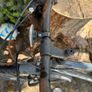 bicycle Image 2