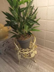 Plant stand