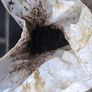 stone Image 2