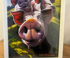 Pig print