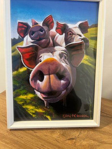 Pig print