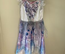 Elsa or Frozen style costume 7-8 years