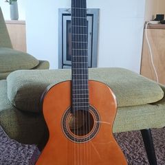 3/4 Acoustic Guitar