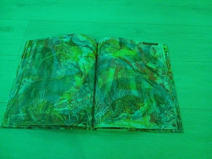 Children's book illuminature