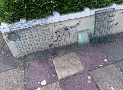 Collection of wire plant trays etc