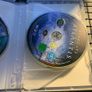 Stargate Atlantis - Season 1 DVD DVD Region 2 Image 3