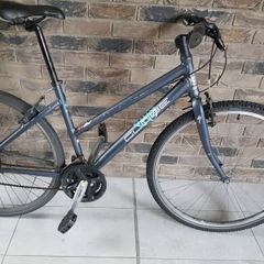 ladies bike