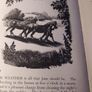 1941 IST edition, ex libris/Life on the Land, Fred Kitchen, original wood cuts Frank Ormond Image 10