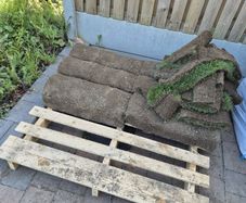 Grass rolls for sale