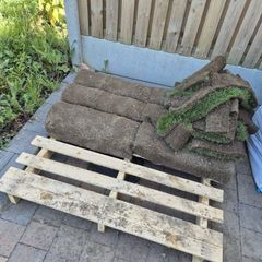 Grass rolls for sale