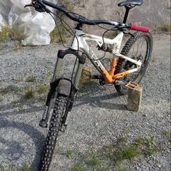 Vitus summit