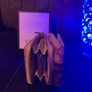 purse Image 2