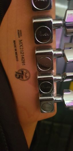 Fender telecaster Player