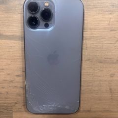 iphone 13  pro max