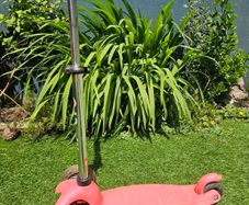 Mini Microscooter