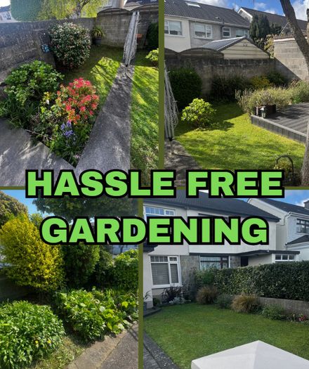 Garden Maintenance And Tidy Up