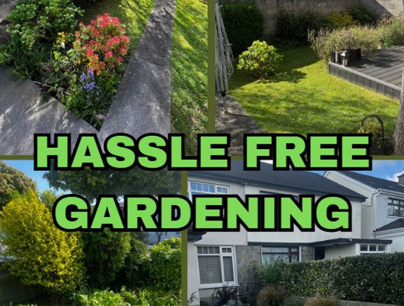 Garden Maintenance And Tidy Up