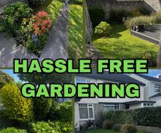 Garden Maintenance And Tidy Up