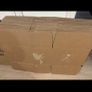 moving boxes Image 5