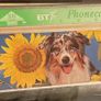 UK BT Phone Cards Spring in the Air series - Three Kittens and Sunflower and dog 100 units Image 3