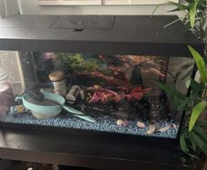 Beautiful fish tank
