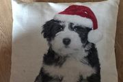 Christmas cushions