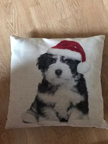 Christmas cushions