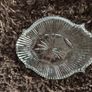 Waterford Crystal Seahorse Scalloped Oval Vanity Dresser Tray Relish Dish Image 4
