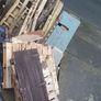 free timber Image 2