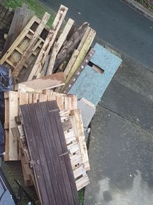 free timber