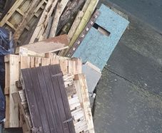 free timber