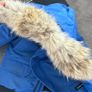 Canad Goose Jacket Image 7