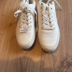 trainers