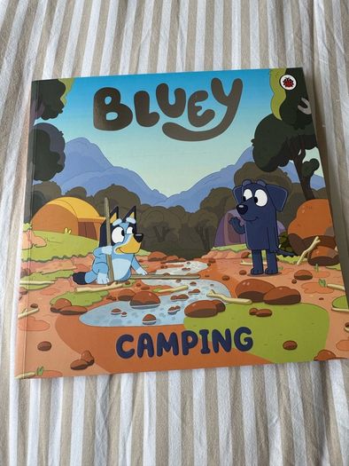 Bluey kids book bundle