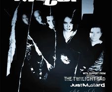 The Cure at Marlay Park, Dublin - 26th June