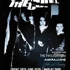 The Cure at Marlay Park, Dublin - 26th June