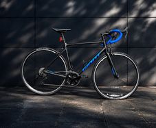 Giant Contend SL