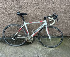 Race bike
